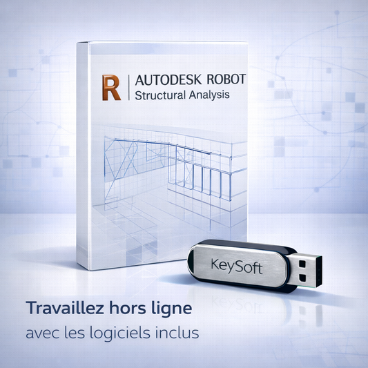 Autodesk Robot Structural Analysis Professional – Logiciel préinstallé [Clé USB KeySoft]